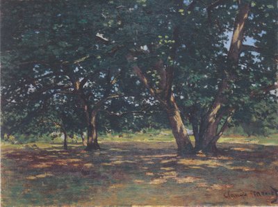 Foresta di Fontainebleau da Claude Monet